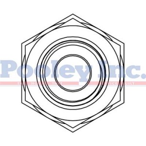 SS-2705-LN-06-06-FG