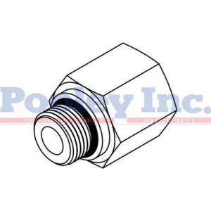 SS-6405-08-08-FG SS-6405-08-08-FG