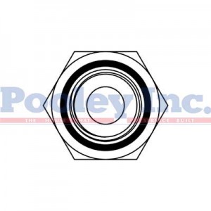 SS-6405-08-08-FG SS-6405-08-08-FG